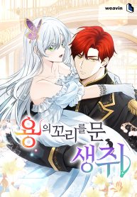 a-mouse-biting-a-dragons-tail-cover