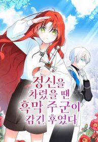 before-i-knew-it-i-had-stolen-the-dark-lords-heart-cover