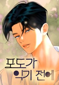 Cover of Before The grapes Ripen manga