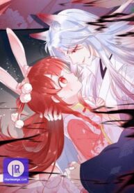 cynical-master-raises-rabbit-spirit-cover