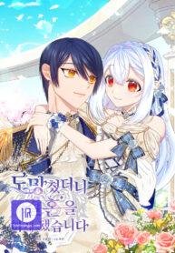 Cover of I Ran Away and Got Married manga