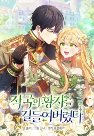 i-tamed-the-enemy-prince-cover