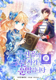 its-my-destiny-to-be-the-heros-saviour-cover