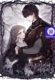 Cover of Like A Wind On A Dry Branch manga