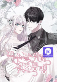 marriage-alliance-for-revenge-cover