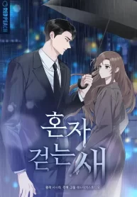 Cover of Solitary Bird manga