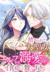 the-abandoned-great-saint-is-doted-on-by-an-elf-and-returns-to-her-homeland-cover