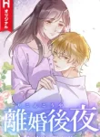 the-night-after-the-divorce-cover