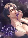 paradisus-valentinae-cover
